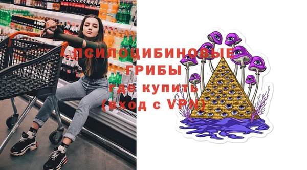 шишки Лагань